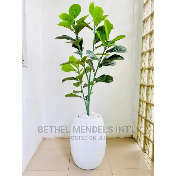 Fake Fiddle Plants for Interior Home Decor | Bulk Sales