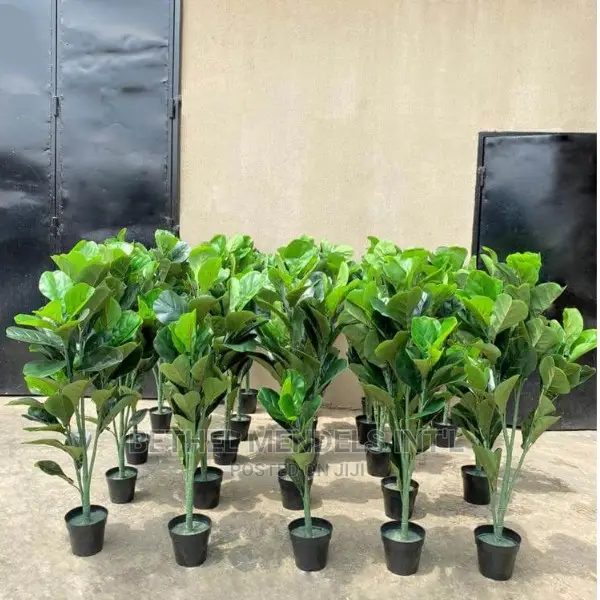 Fake Fiddle Plants for Interior Home Decor | Bulk Sales