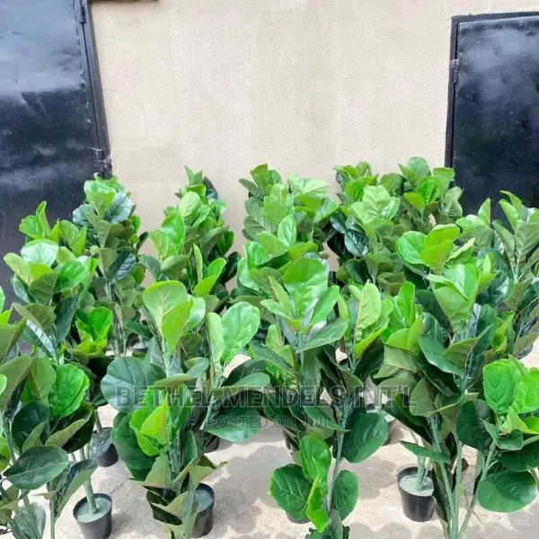 Fake Fiddle Plants for Interior Home Decor | Bulk Sales