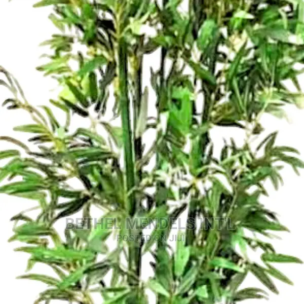 Fake Bamboo Trees | Indoor Artificial Bamboo Plants for Sale