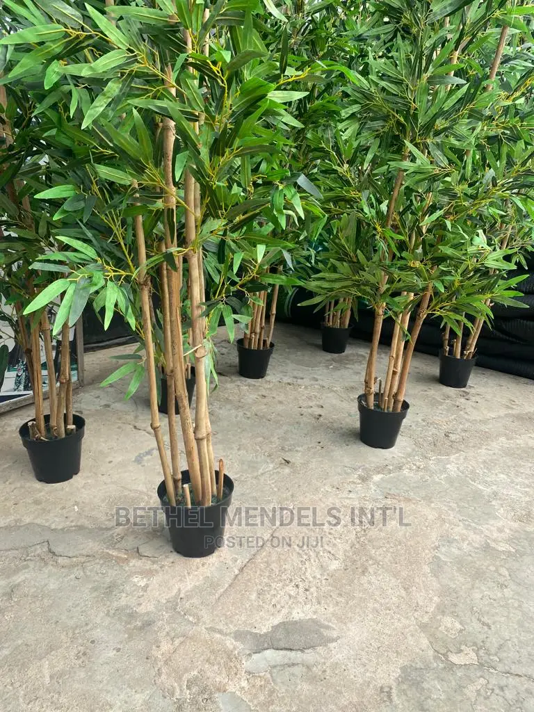 200cm Artificial Bamboo Tree | Bulk Sales of Fake Plants