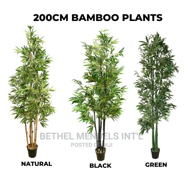 200cm Artificial Bamboo Tree | Bulk Sales of Fake Plants