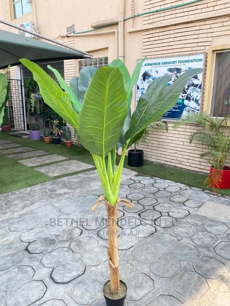 Faux Banana Plants for Indoor Beautifications | Bulk Sales