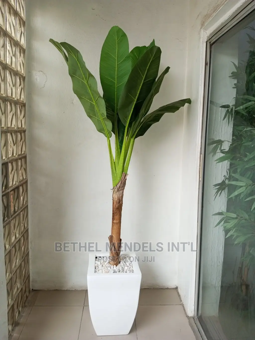 Faux Banana Plants for Indoor Beautifications | Bulk Sales