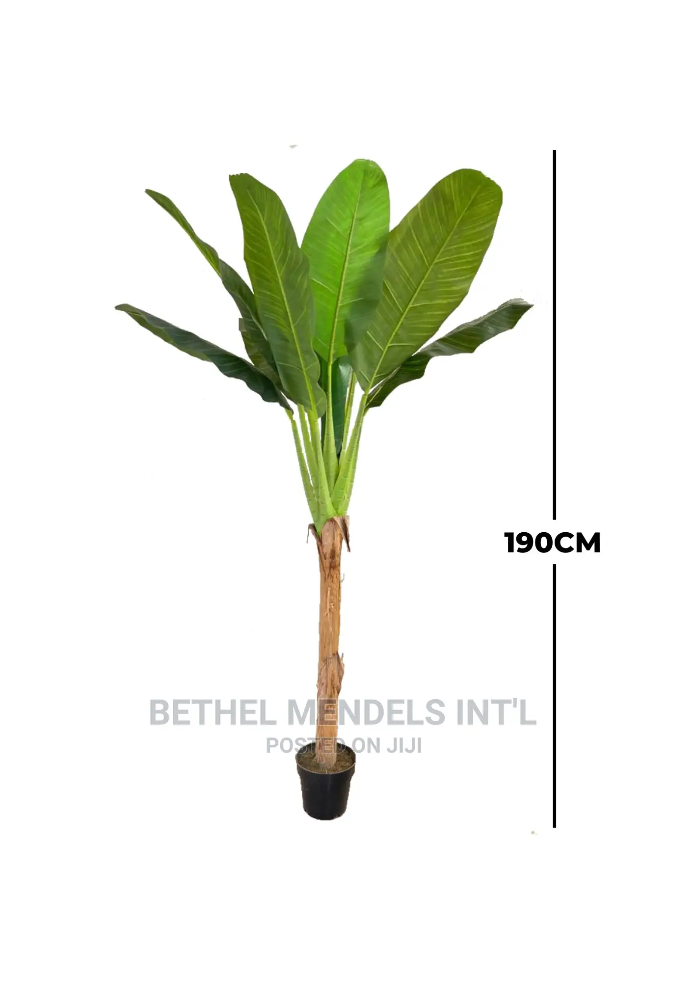 Faux Banana Plants for Indoor Beautifications | Bulk Sales