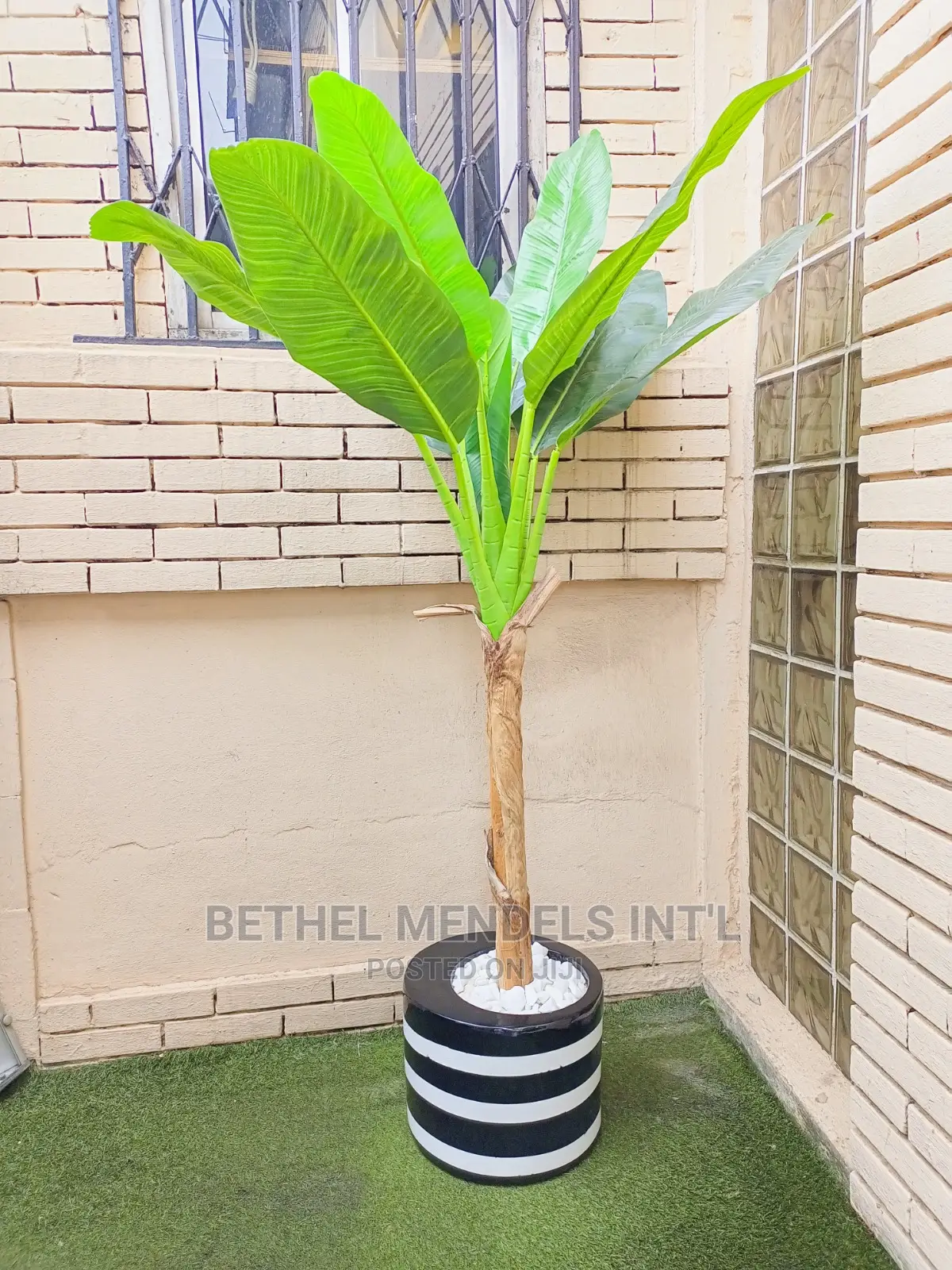 Faux Banana Plants for Indoor Beautifications | Bulk Sales