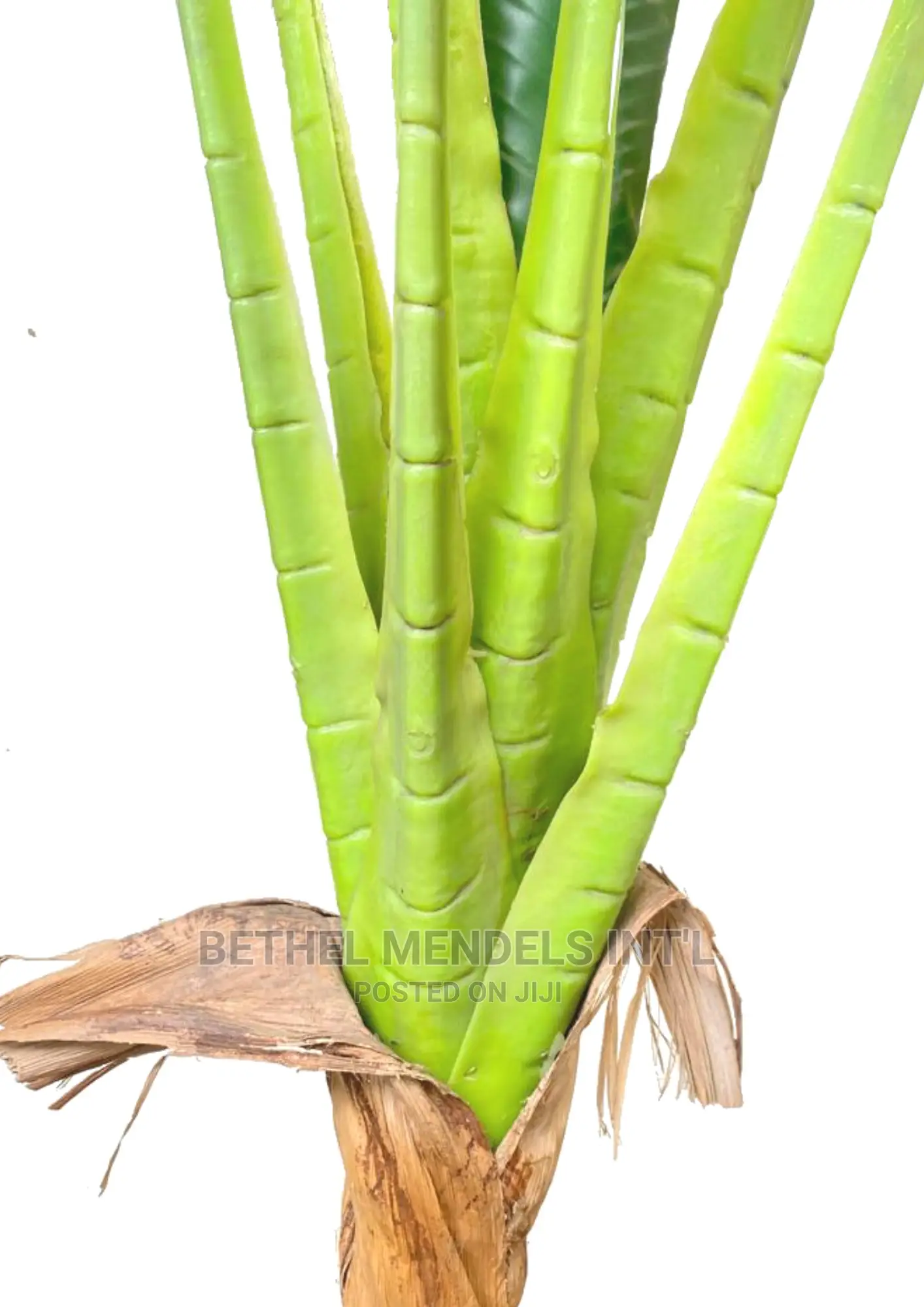 Faux Banana Plants for Indoor Beautifications | Bulk Sales