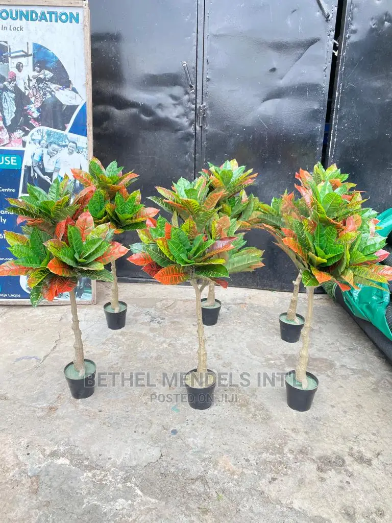 Artificial Banyan Plants for Bulk Sales in Ikeja Lagos