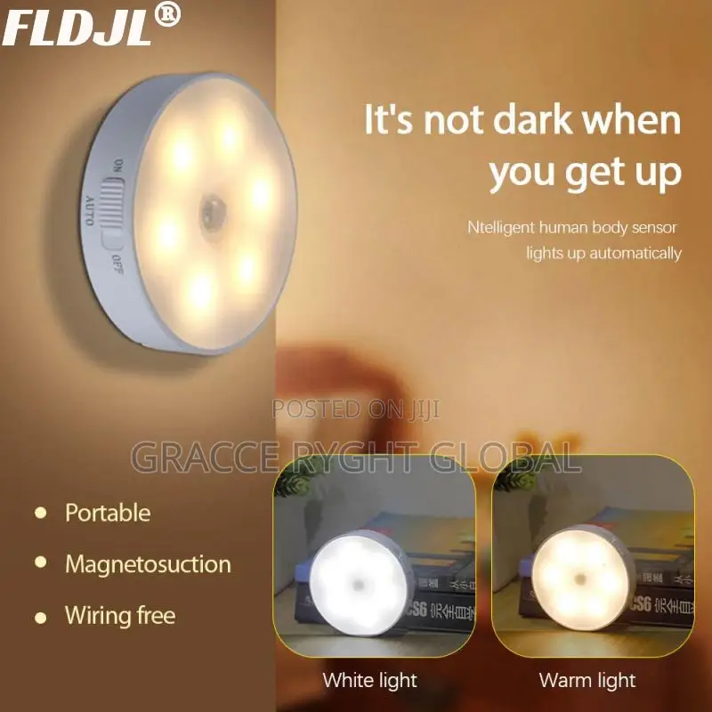 Body Induction Night Light