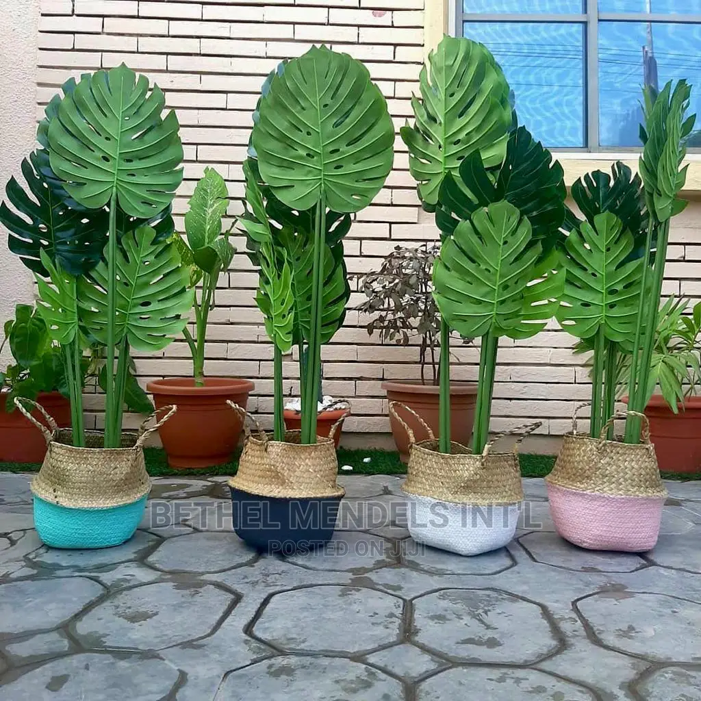 Artificial Monstera Plants 135cm | Bulk Plants Sale