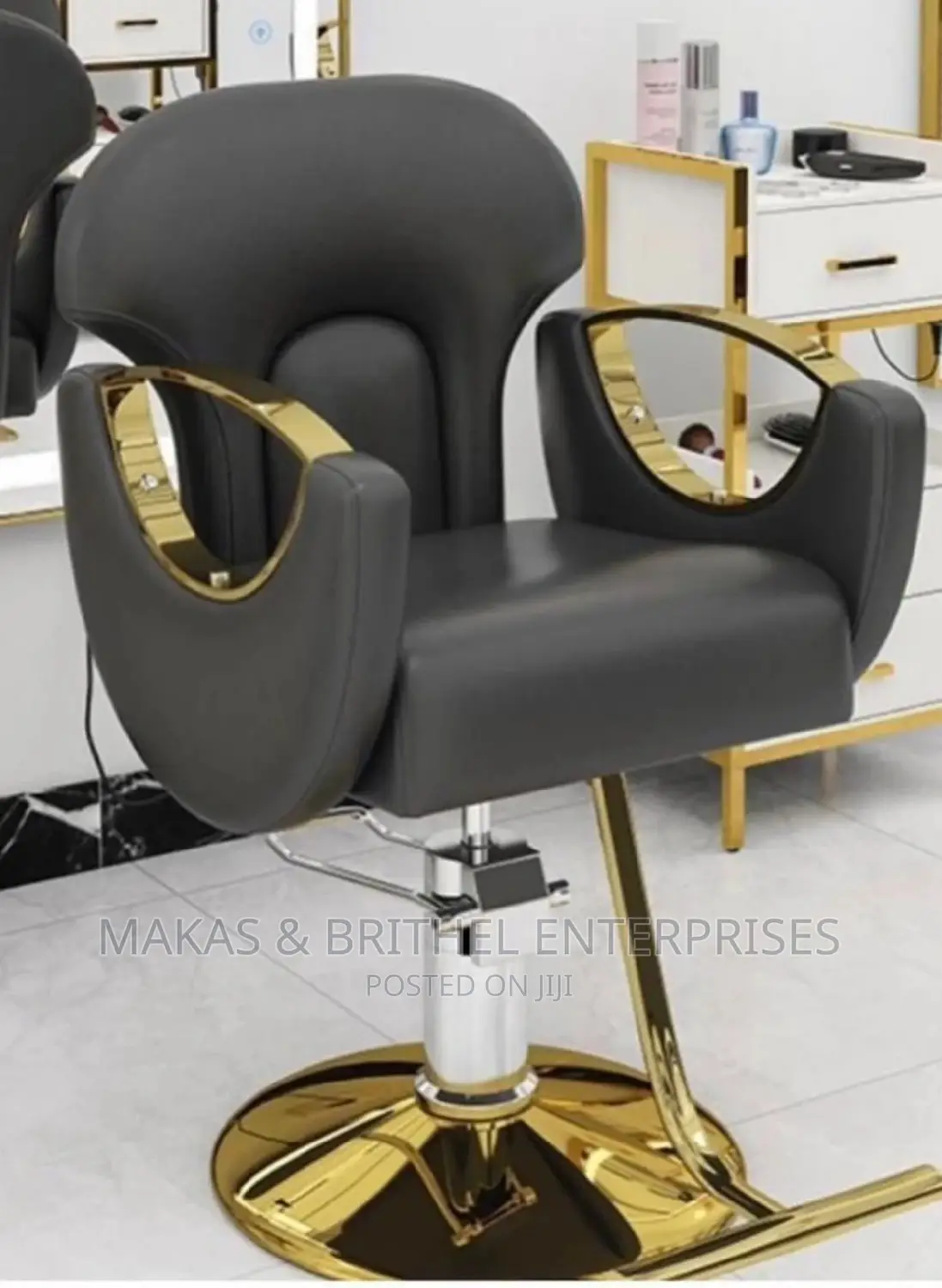 Salon Chair