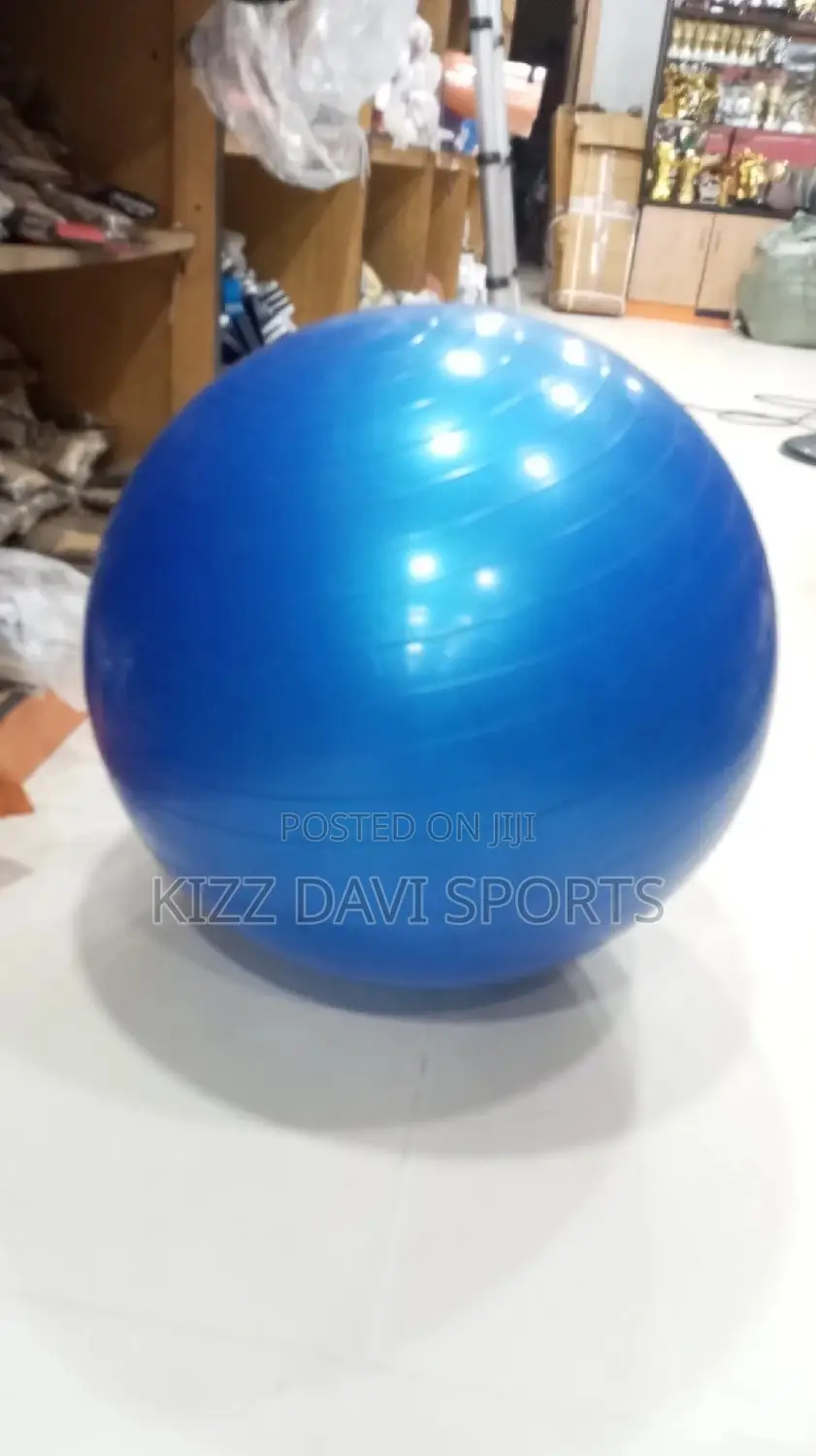 Exercise Gym Ball