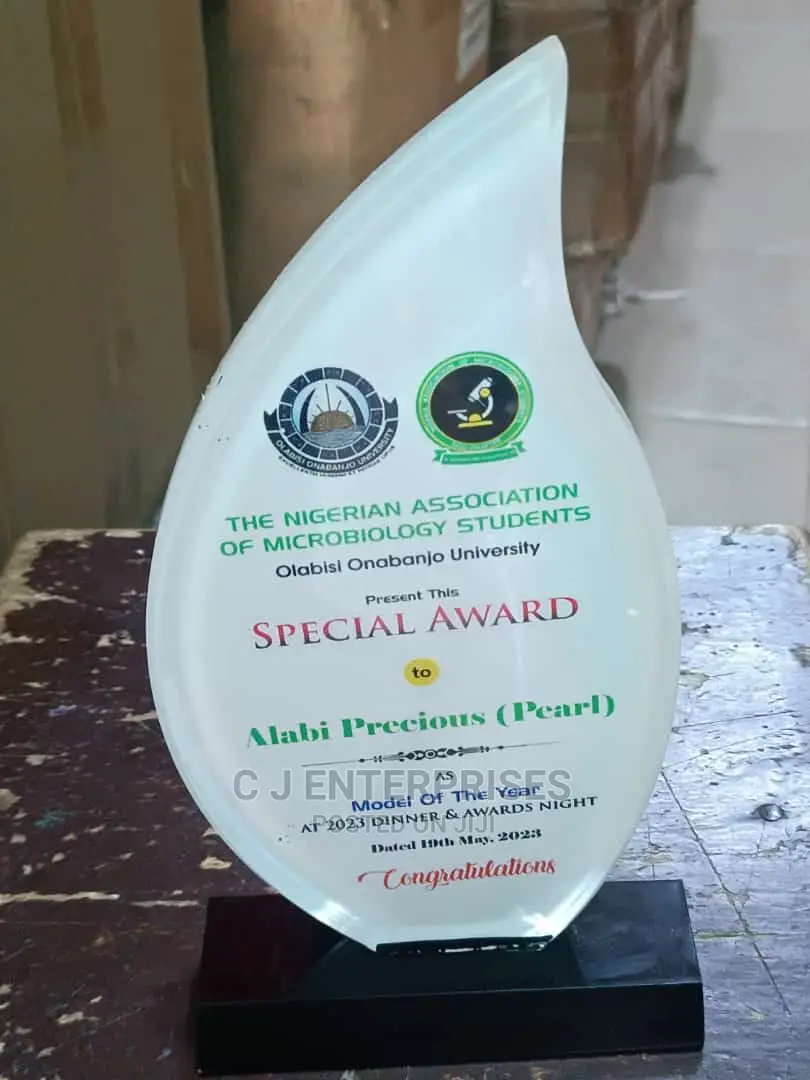 Acrylic Award T55