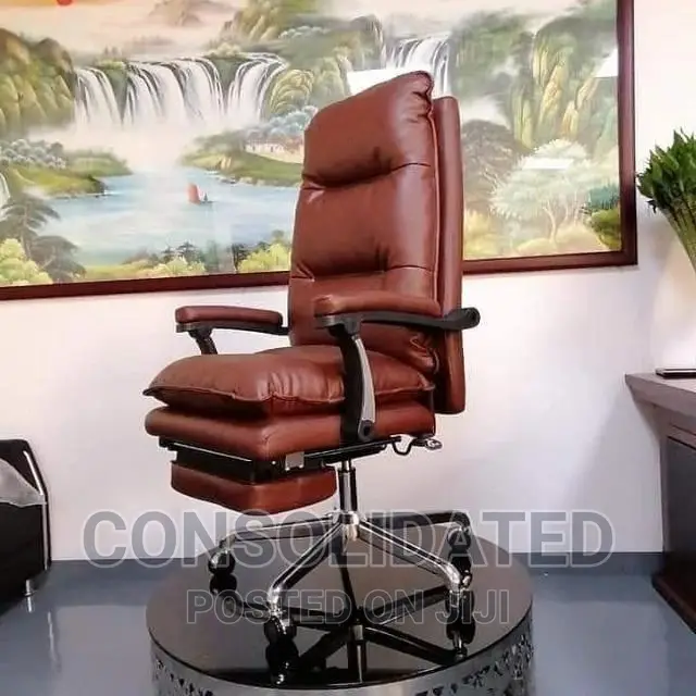 Executive Ergonomic Office Chairs