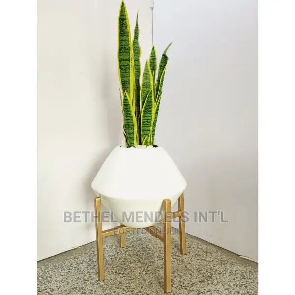 Wholesales of Fiberglass Flower Vases in Asaba Delta State