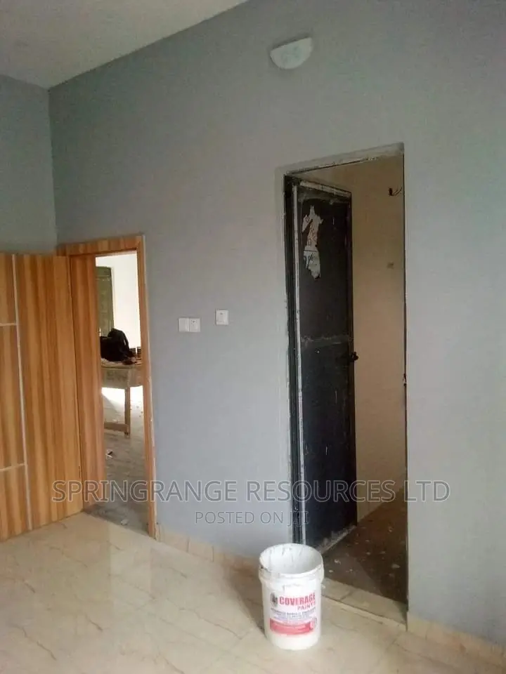 Professional House Painter in Lekki Ajah Axis