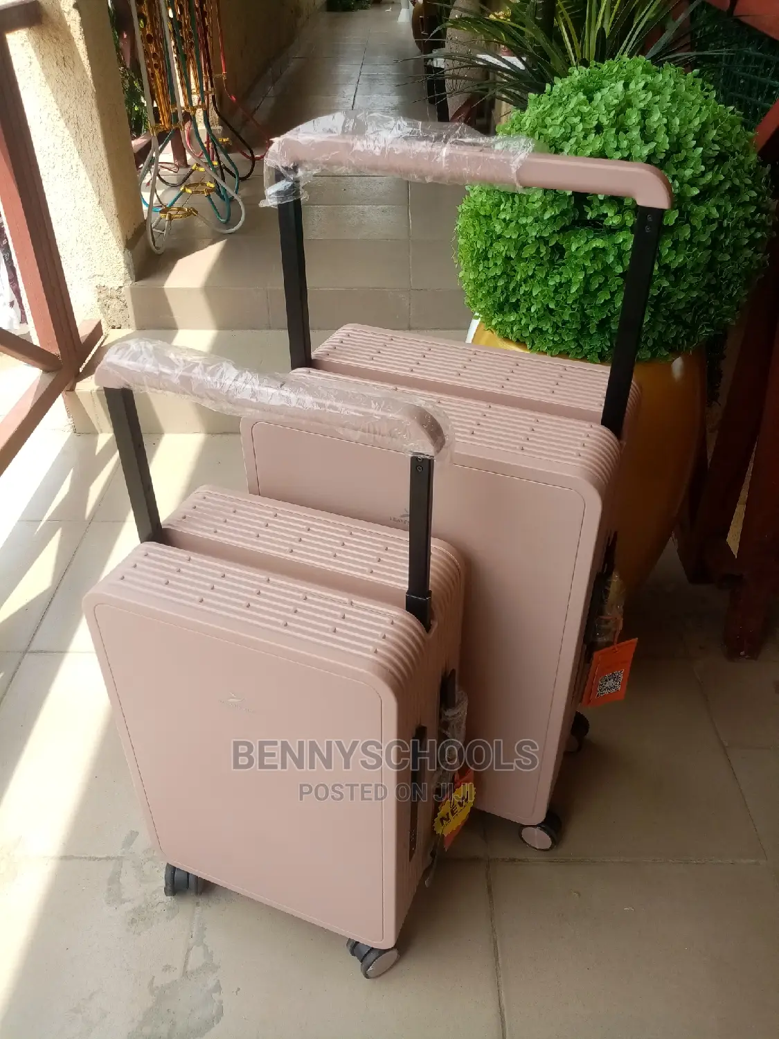 Set of 2 Leaves King Peach Executive Luggage Celebrity Boxes