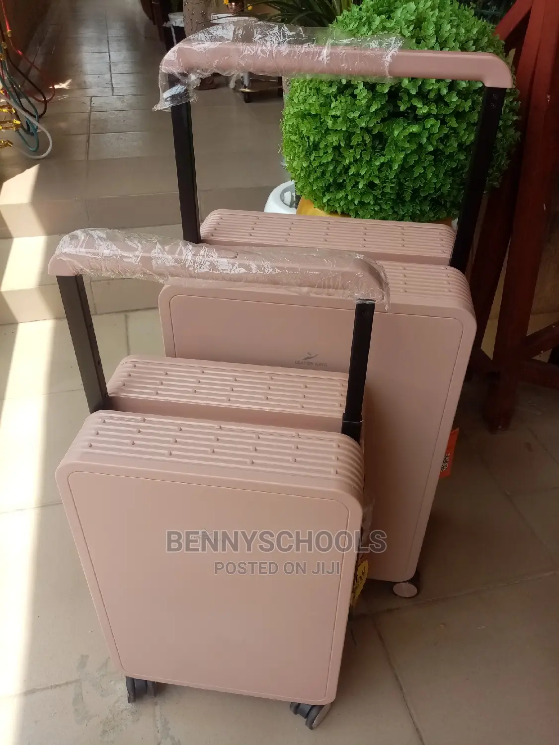 Set of 2 Leaves King Peach Executive Luggage Celebrity Boxes