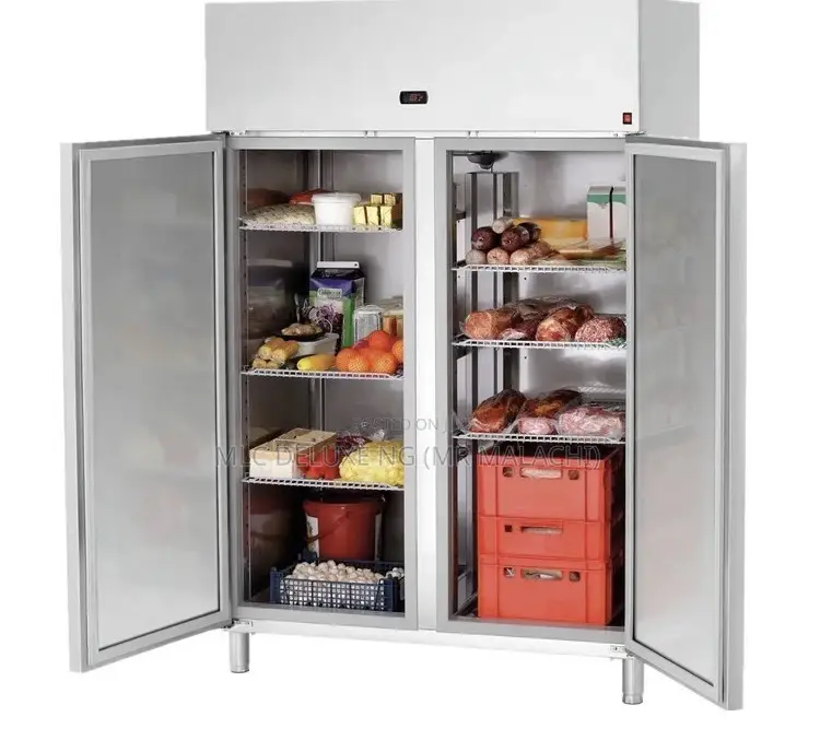Double Doors Stainless Standing Refrigerator/2 Doors Chiller