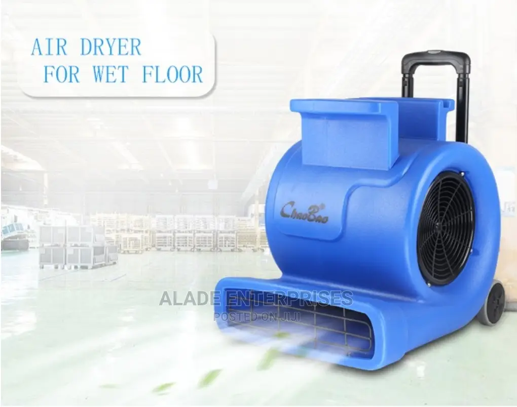 Professional 900w 3speed Floor Air Dryer With High Quality