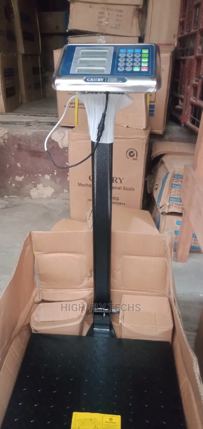 Quality Electrical Platform Scale 300kg