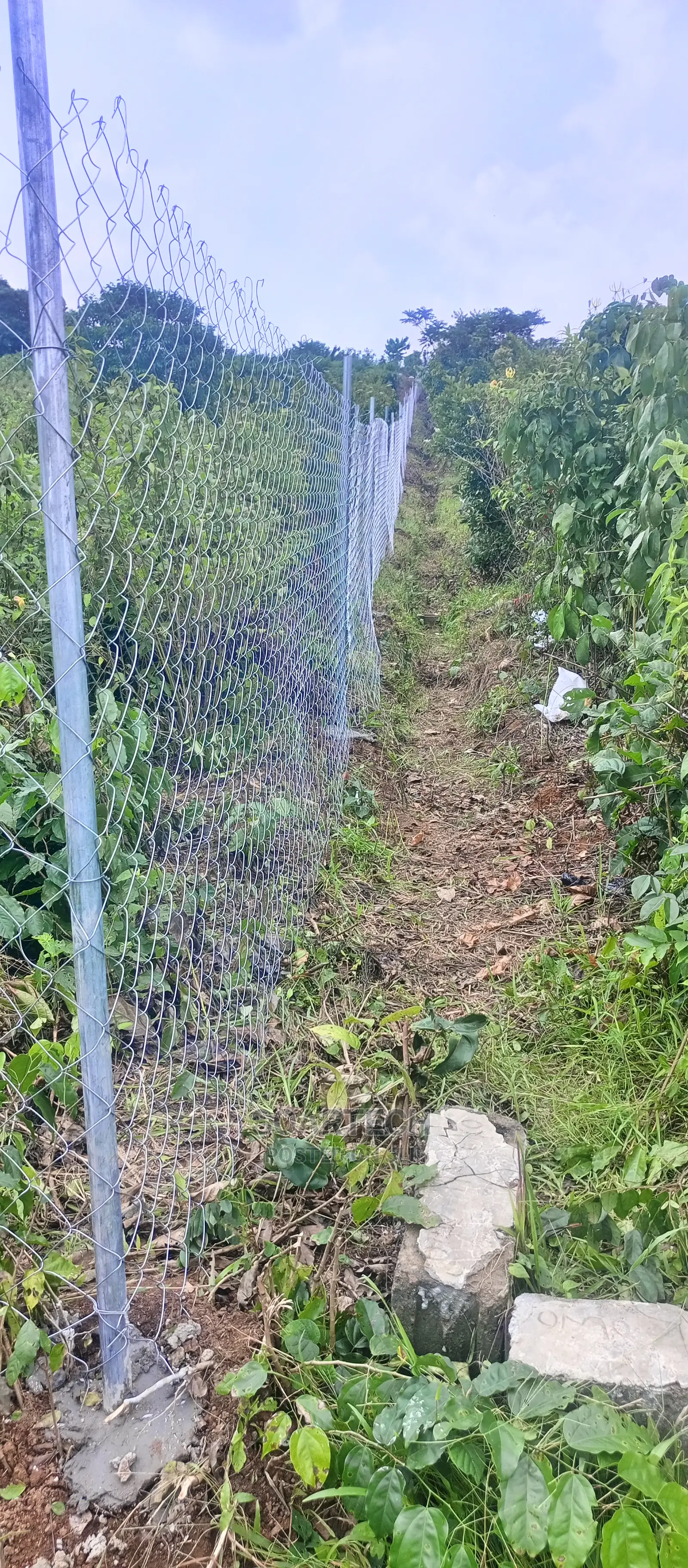 Professional Chain Link Fencing