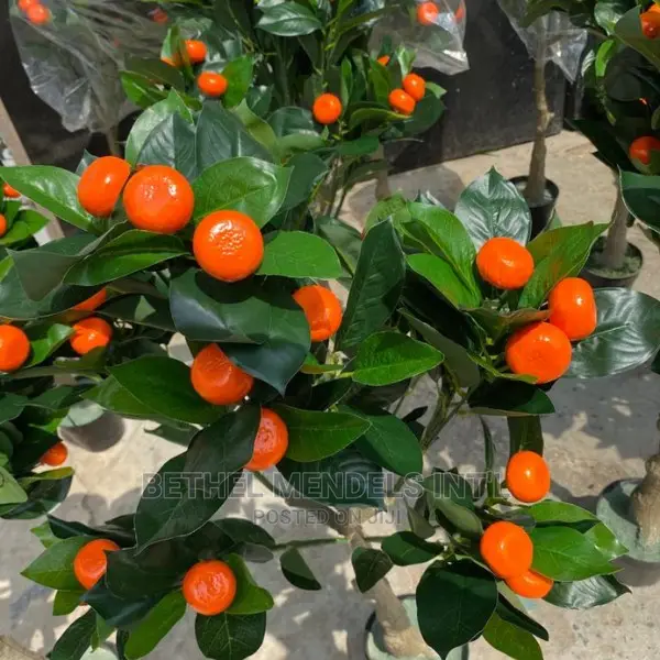 Artificial Flower/Plants Bulk Sales | Fake Orange Trees