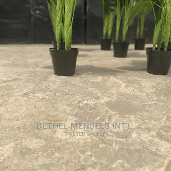Artificial Paradise Birds Plants Available for Sale in Abuja