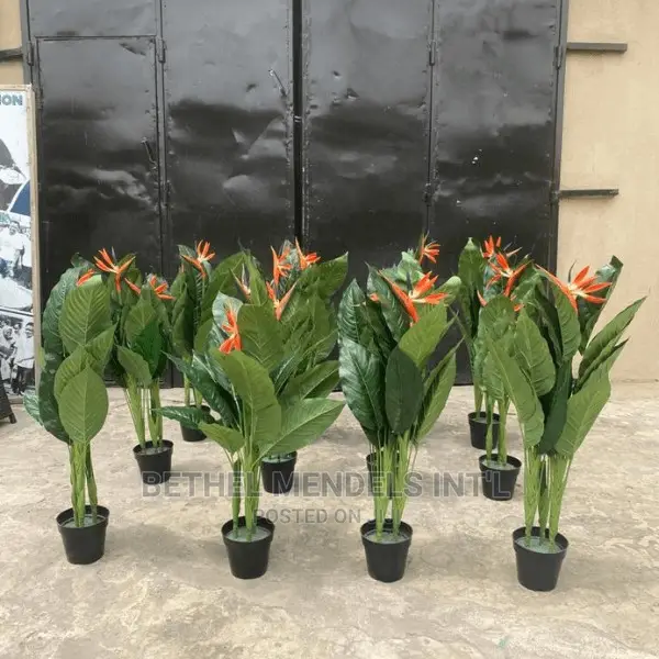 Artificial Paradise Birds Plants Available for Sale in Abuja