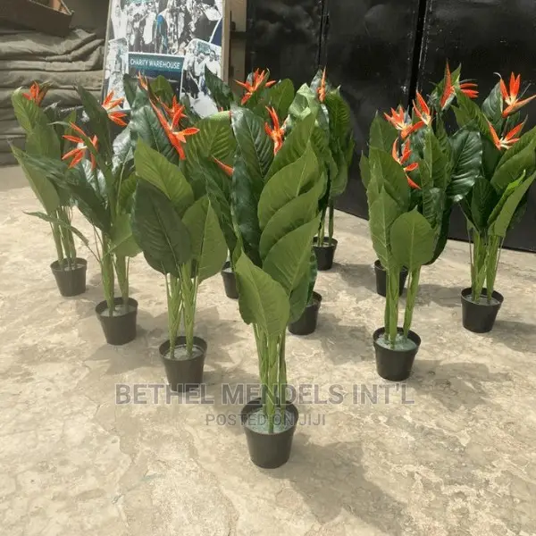 Artificial Paradise Birds Plants Available for Sale in Abuja