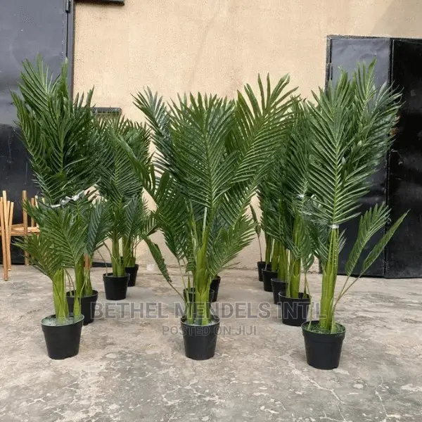 Artificial Palm Plants Wholesales | Flowers/Plants in Abuja