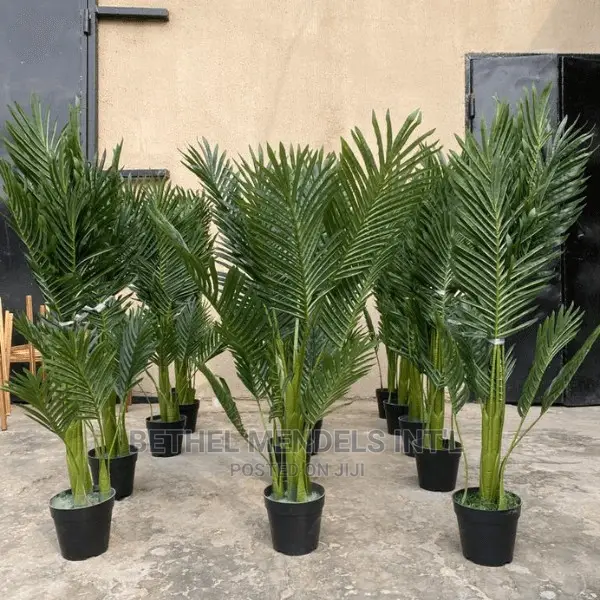 Artificial Palm Plants Wholesales | Flowers/Plants in Abuja