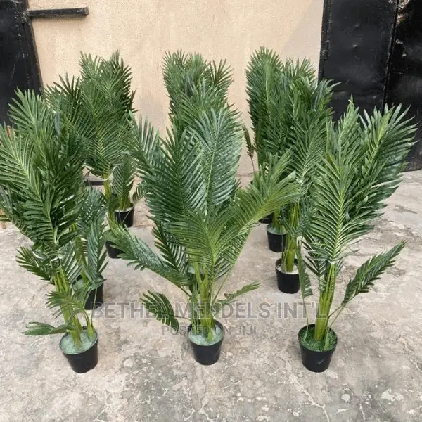 Artificial Palm Plants Wholesales | Flowers/Plants in Abuja