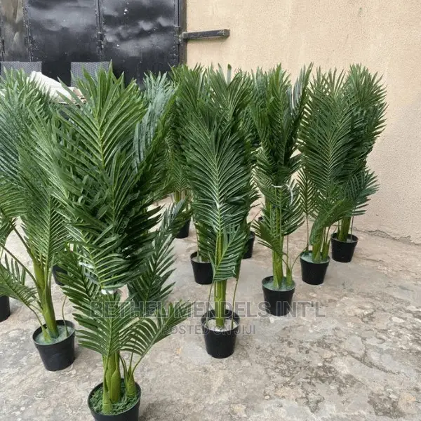 Artificial Palm Plants Wholesales | Flowers/Plants in Abuja