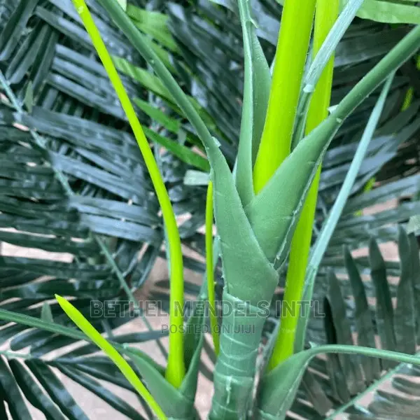 Quality Palm Plants Bulk Sales | Artificial Flowers/Plants