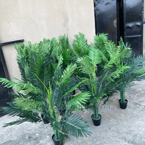 Quality Palm Plants Bulk Sales | Artificial Flowers/Plants