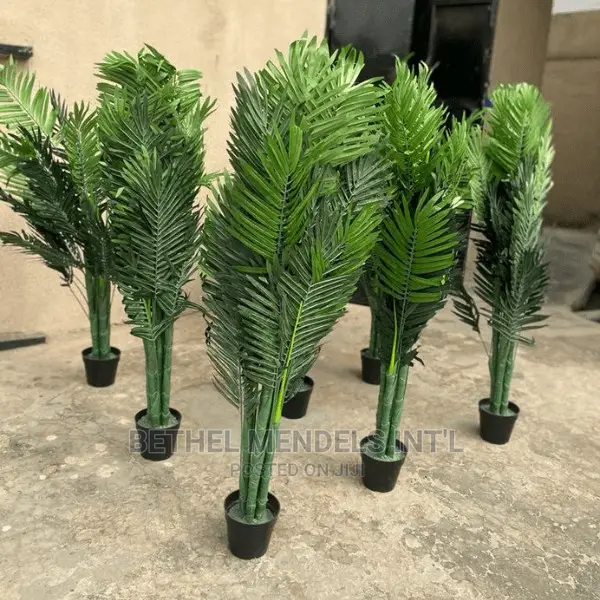 Quality Palm Plants Bulk Sales | Artificial Flowers/Plants