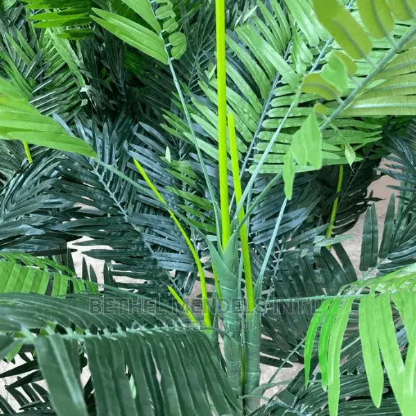 Quality Palm Plants Bulk Sales | Artificial Flowers/Plants