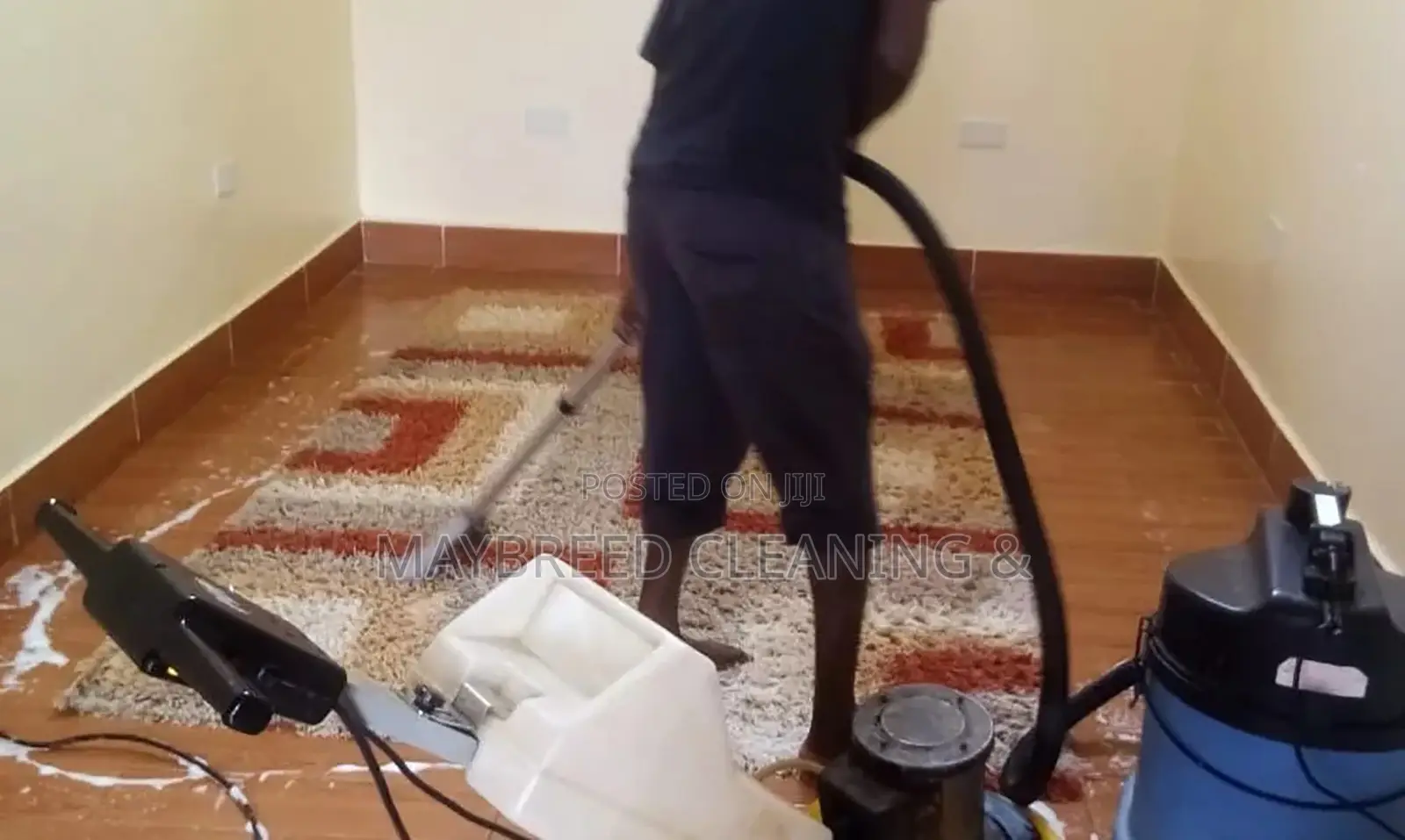 Rug, Couch and House Cleaning