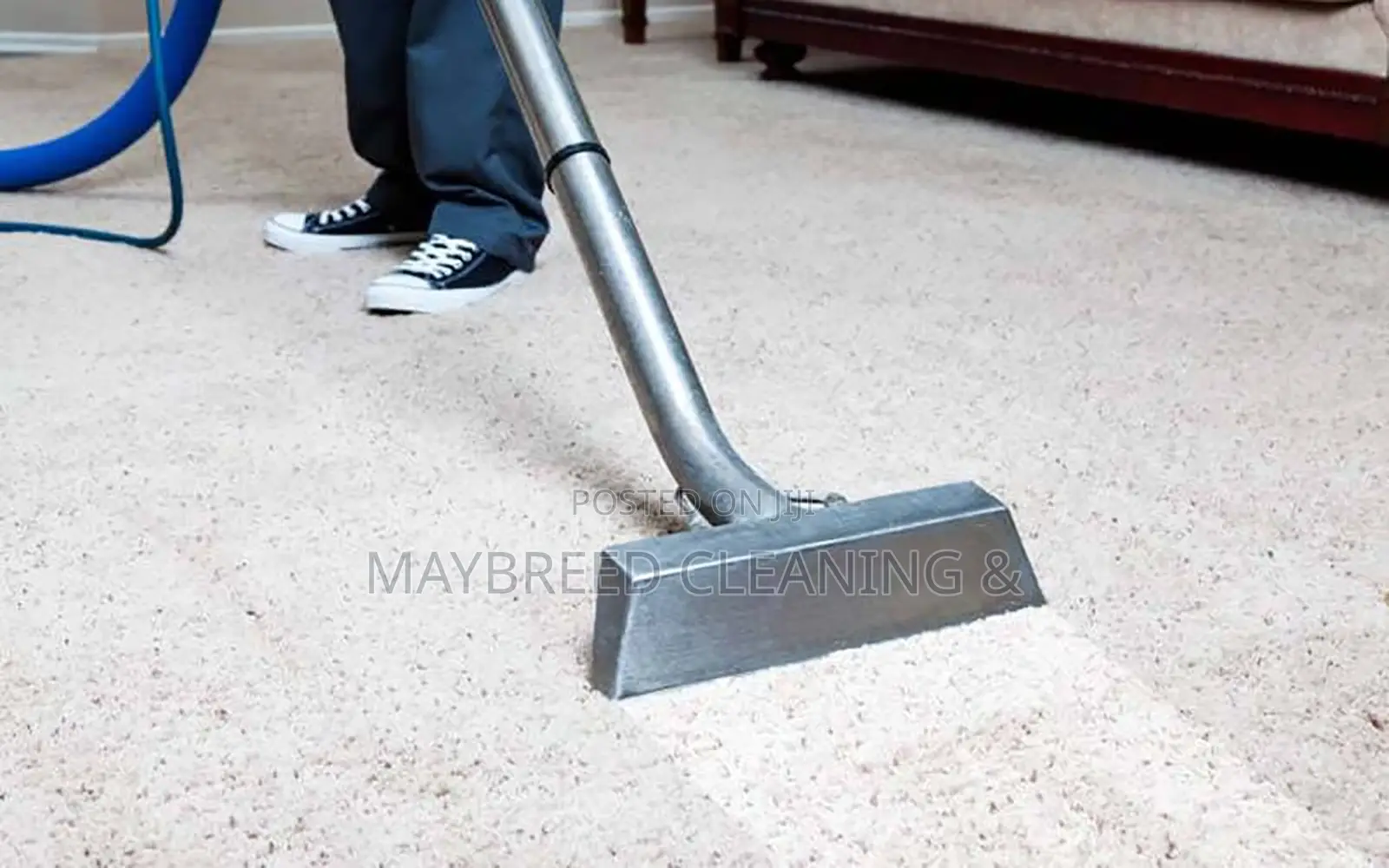 Rug, Couch and House Cleaning