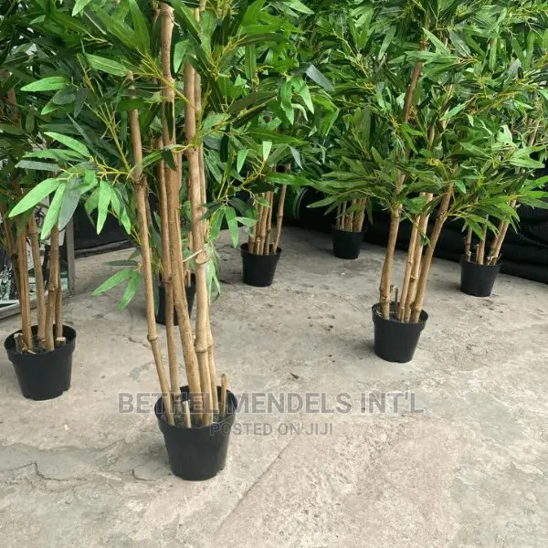 Bulk Sales of Quality Artificial Bamboo Trees in Lagos/Abuja