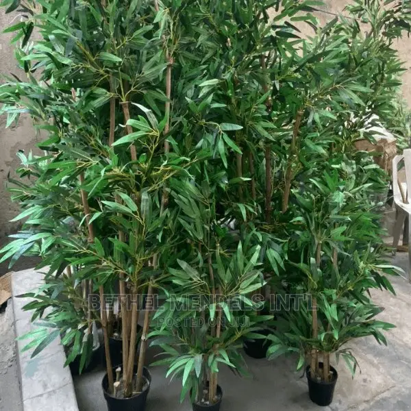 Bulk Sales of Quality Artificial Bamboo Trees in Lagos/Abuja