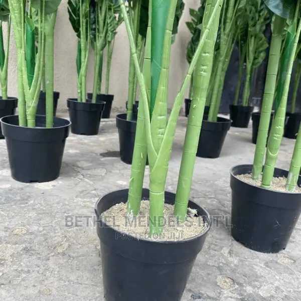 Artificial Flowers/Plants | Faux Monstera Plants Sales