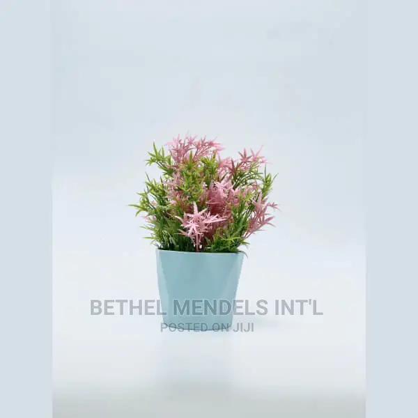 Ceramic Tabletop Flower Vases for Bulk Sales at Ikaja Lagos