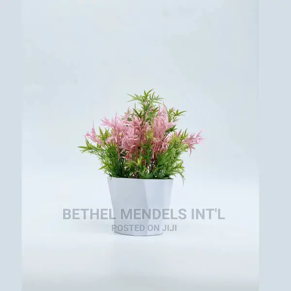 Ceramic Tabletop Flower Vases for Bulk Sales at Ikaja Lagos