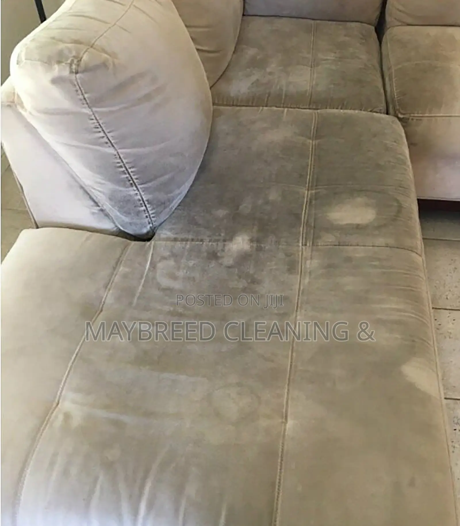 Sofa Cleaning