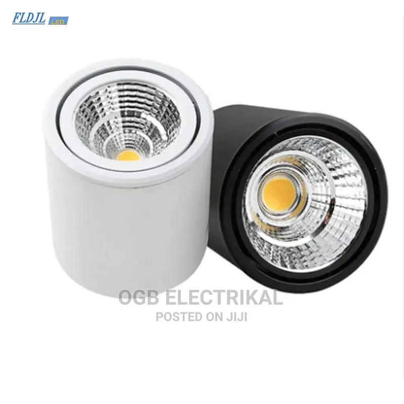 Surface Mounted Light