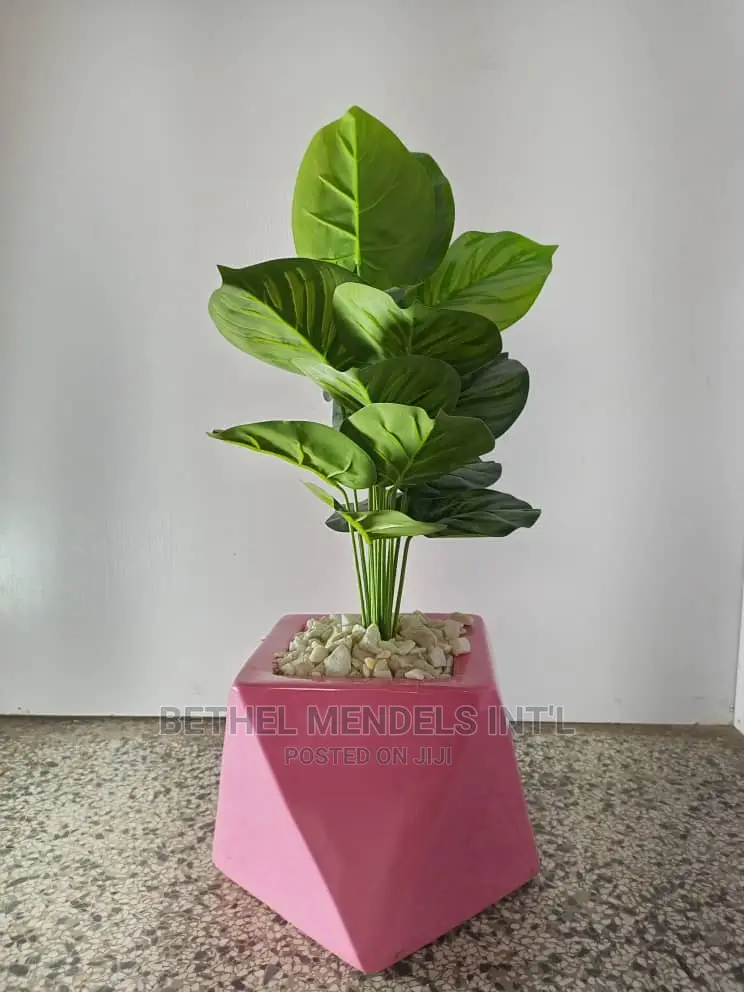 Artificial Taro Plant /Fiberglass Pot/Vase | Combo Sales