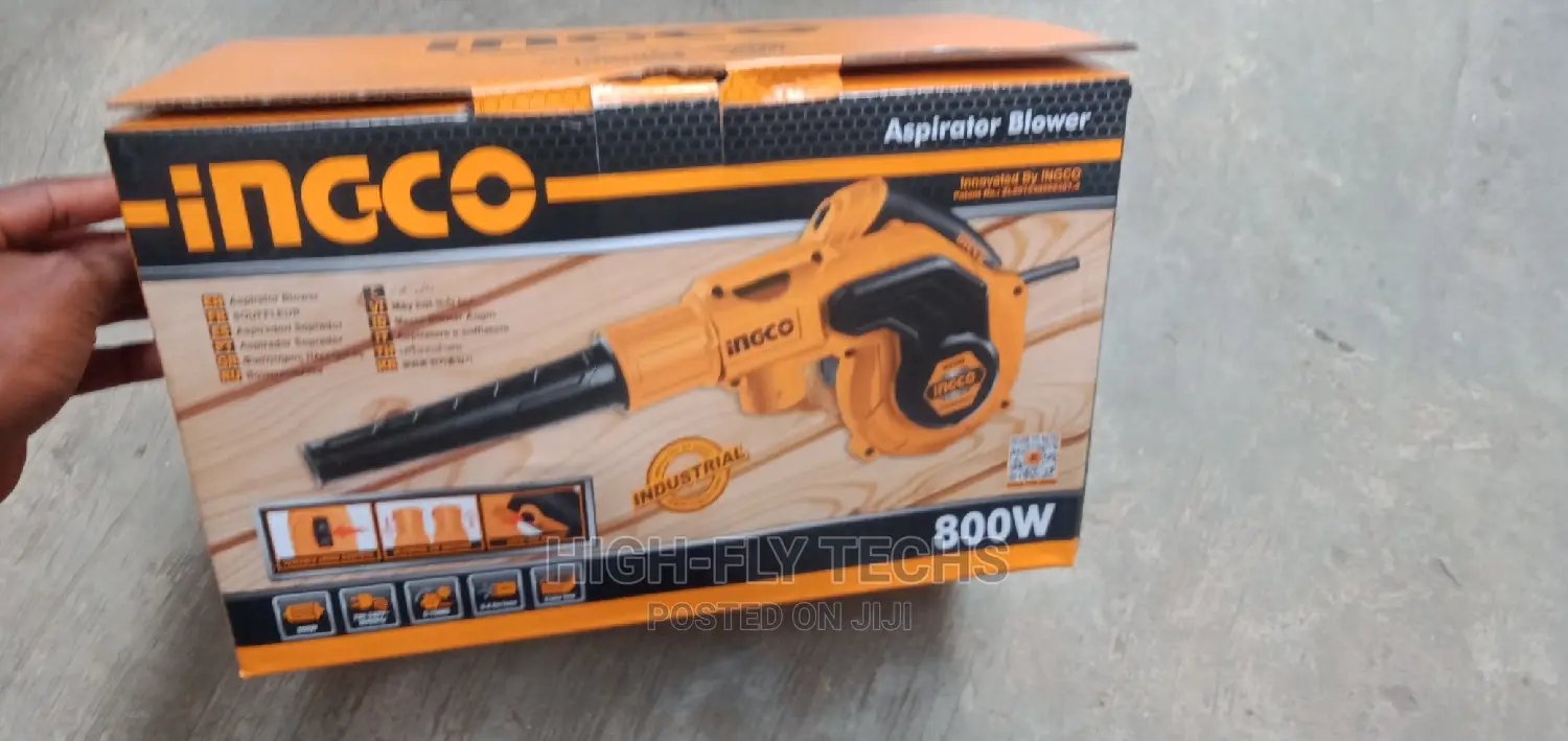 Ingco Aspirator Blower 800w