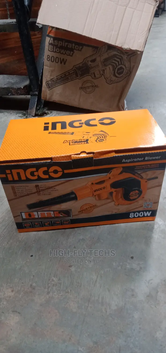 Ingco Aspirator Blower 800w